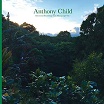 anthony child-electronic recordings from maui jungle vol 1 2lp 