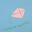 arthur russell-tower of meaning lp 
