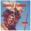 chaino & his african percussion safari-jungle echoes lp
