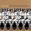 nap eyes-thought rock fish scale cd