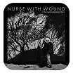 nurse with wound the swinging reflective ii united dirter