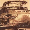 red house painters-s/t (rollercoaster) 2lp 