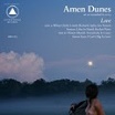 amen dunes-love LP