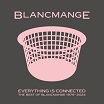 blancmange everything is connected: the best of blancmange 1979-2024 london