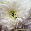 boof-the hydrangeas whisper cd 