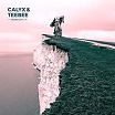 calyx & teebee-fabriclive 76 CD