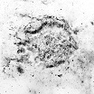 cassiopeia a nebulae