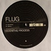 flug-cognitive process 12