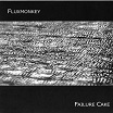 fluxmonkey-failure cake cd