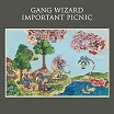 gang wizard-important picnic LP
