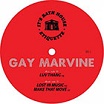 gay marvine-bath house etiquette vol 1 12