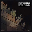 joey anderson-after forever 2 LP