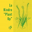 lo kindre plant up optimo music
