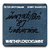 peter brotzmann/sonny sharrock-whatthefuckdoyouwant CD