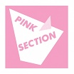 pink section-s/t lp