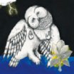 songs: ohia-magnolia electric co deluxe ed. 2 LP
