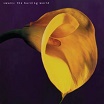 swans-the burning world LP