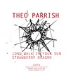 theo parrish-long walk in your sun/strawberry dragon 12