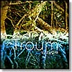 troum-syzygie CD