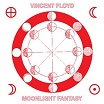 vincent floyd-moonlight fantasy 12 