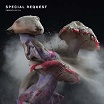 special request fabriclive 91 fabric