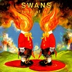 swans-love of life lp