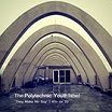 various-they make no say: a polytechnic youth singles lp