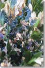 potpourri