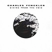 charles fenckler-diving from the void cd