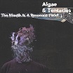 algae & tentacles the mouth is a resonant field twenty one eighty two recording company