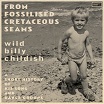 wild billy childish from fossilised cretaceous seams: a short history of his song & dance groups damaged goods