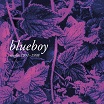 blueboy singles 1991-1998 a colourful storm
