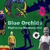 blue orchids righteous harmony fist tiny global productions