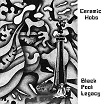 ceramic hobs-black pool legacy 2lp