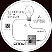 craig sharrad sketches of a circuit dnaut