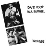 david toop/paul burwell wounds song cycle