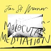 jan st. werner molocular meditation editions mego