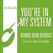kerri chandler & jerome sydenham you're in my system (dennis quin remixes) ibadan