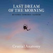 last dream of the morning crucial anatomy trost