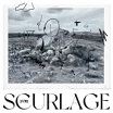µ-ziq scurlage analogical force