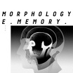 morphology collective memory analogical force