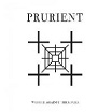 prurient washed against the rocks handmade birds