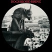 current 93 dogs blood rising pic disc cashen's gap