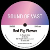 red pig flower thought crime sound of vast