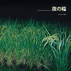 reiko kudo rice field silently riping in the night tal