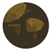 rommek igenous: set in stone trilogy blueprint