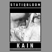 statiqbloom kain sonic groove