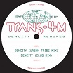 trans-4m dencity remixes safe trip