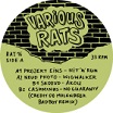 various rats rat life