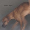 terence fixmer-force ep